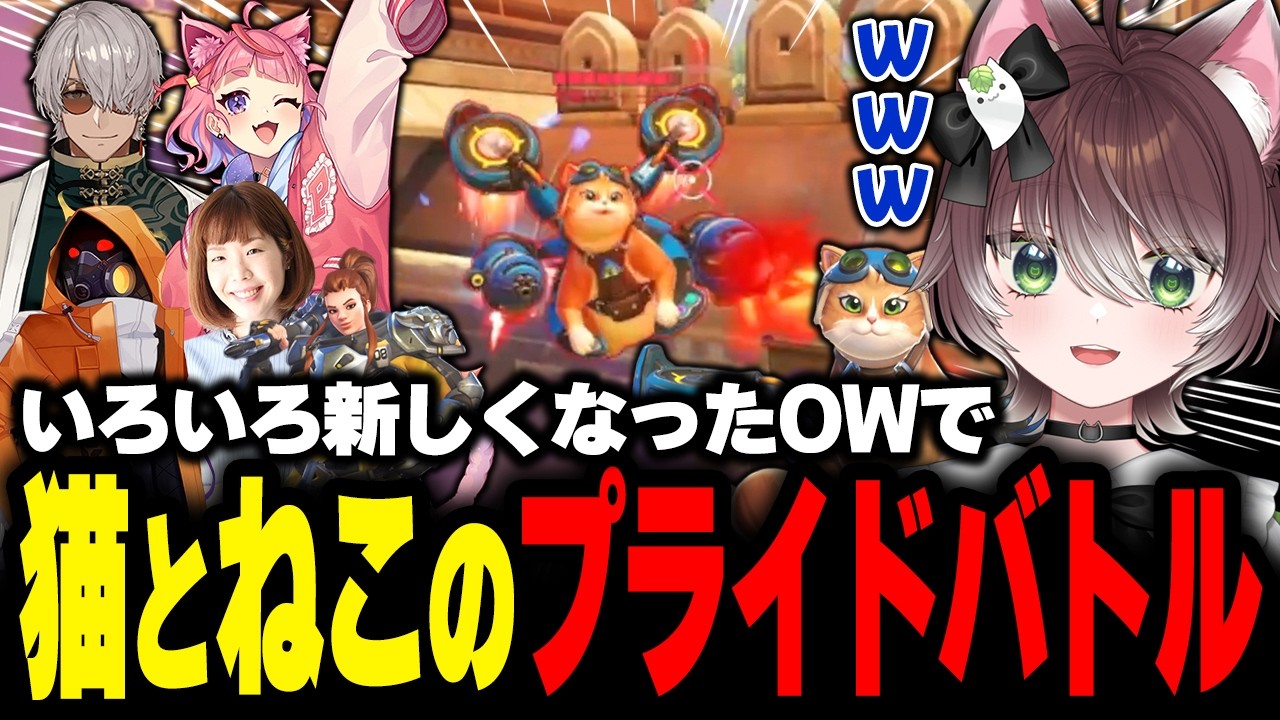 久しぶりのOWでキャットファイトを繰り広げるかしわねこ【かしわねこ/Overwatch/切り抜き】