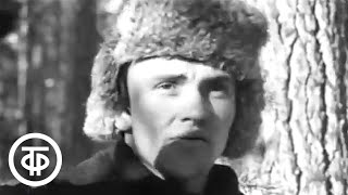 Ангарские лесорубы. Документальный фильм о лесозаготовителях Пинчугского леспромхоза (1977)