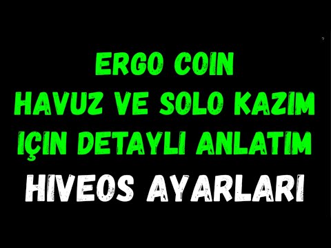 ERGO COİN MİNİNG HİVEOS AYARLARI NASIL OLUYOR | ERGO SOLO KAZIM 2MİNERS VE HEROMİNER AYARLARI