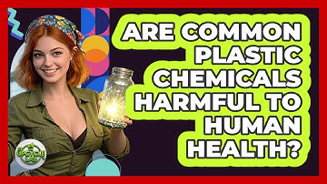 Are Common Plastic Chemicals Harmful To Human Health? - The Upcycle Lab