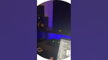 КРИСПИ & PUSSYKILLER (snippet 27.05.23)