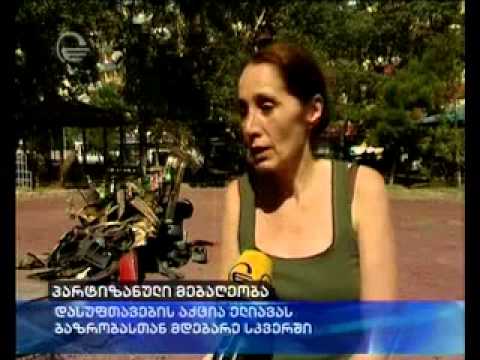 ნაგვისგან და საბურავებისგან შექმნილი ქანდაკება - პარტიზანული მებაღეობის აქცია