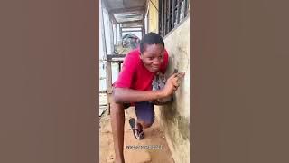 Best complilation of the week 😂🤣