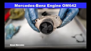 Mercedes-Benz EGR Valve Cleaning