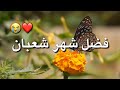 فضل شهر شعبان 2022 أجمل حالات واتس دينية مقاطع انستغرام استوريات دينية 