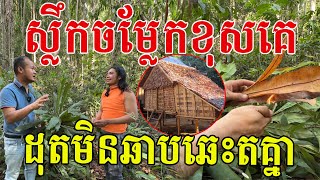 ស្លឹកនេះចម្លែកខុសគេ ពិសេសណាស់ បានប្រក់ដំបូលត្រជាក់ស្រិប