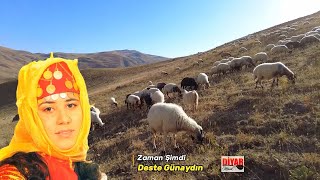 Deste Günaydın - Zaman Şimdi [ Çok Dertli Duygulu Türkü] Köy Manzaralı Video]