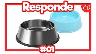 DOGUEIROS RESPONDE #01! #Dogueiros #Responde