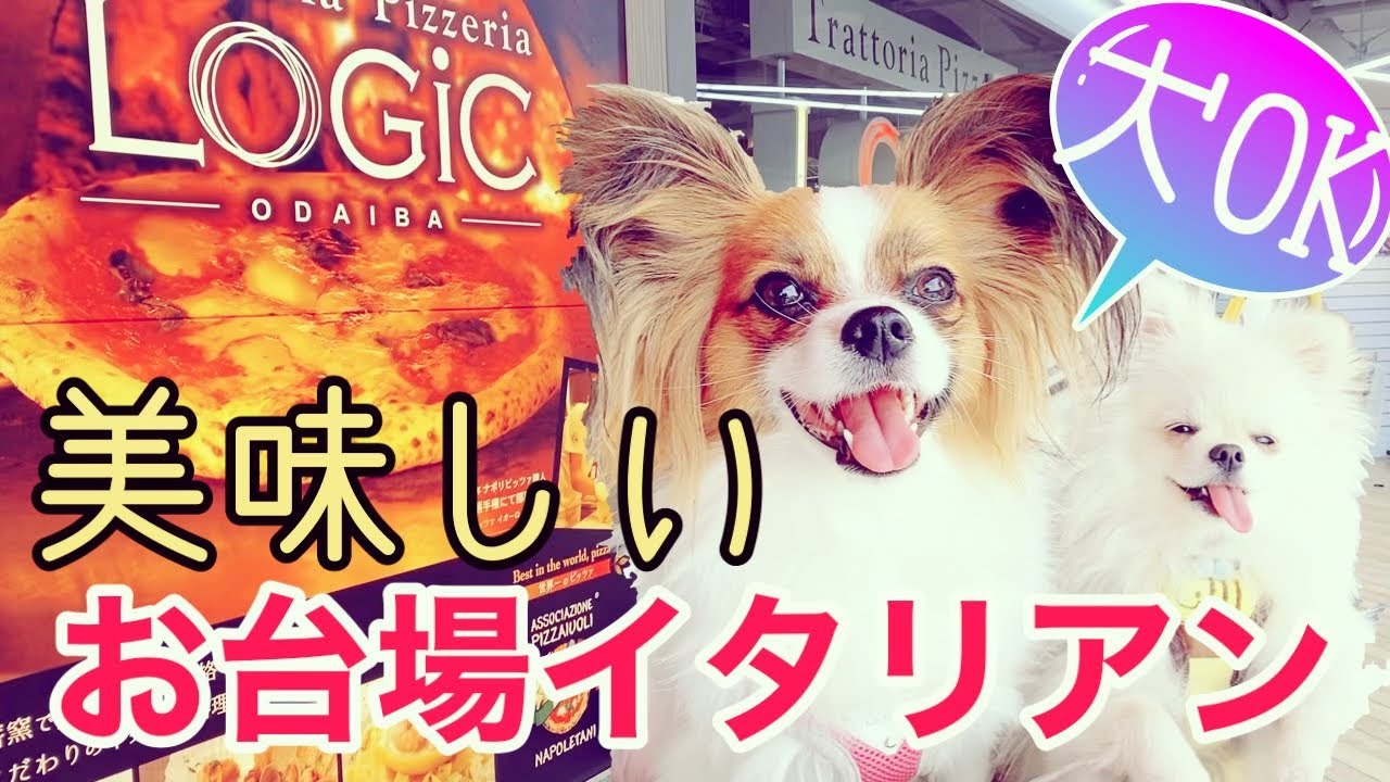 犬と行くお台場 Vol 3 美味しくお得な イタリアンlogic ロジック 21年 テラス席で犬とランチ からのドッグランへ 美味しくて お得なランチが食べられます Youtube