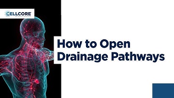 Opening Drainage Pathways: Why It