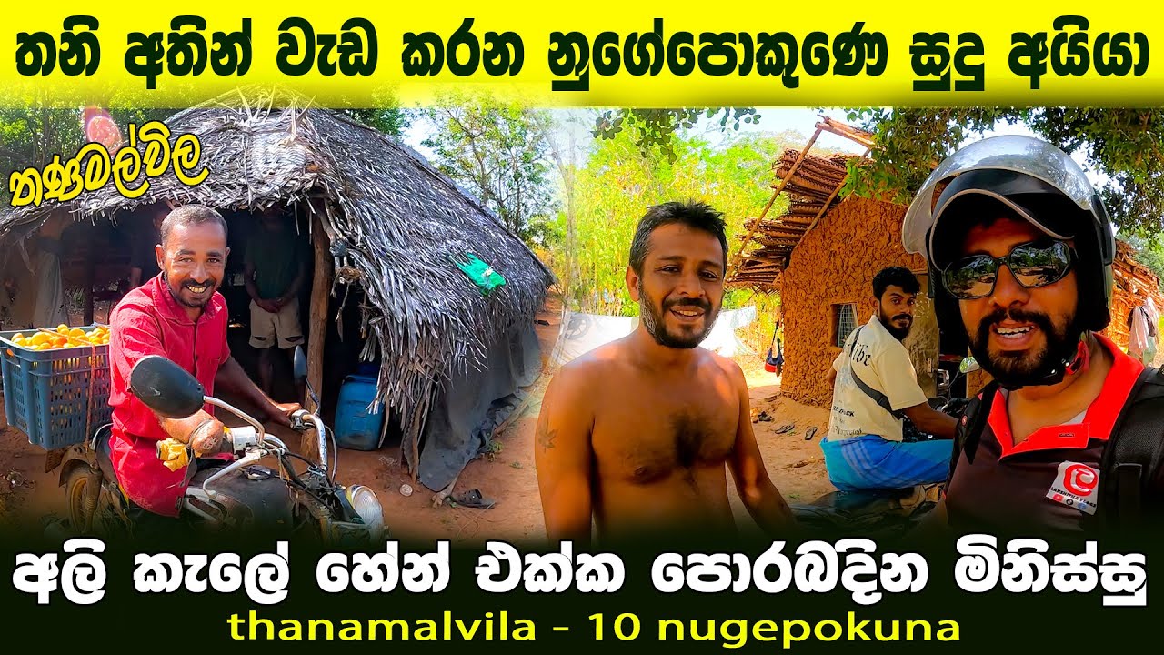 එක අතින් හේන් කරන නුගේපොකුණෙ සුද්දගේ වැඩ 🌶🍒 | nugepokuna sudu aiyage wadiya @lakshithavlogs