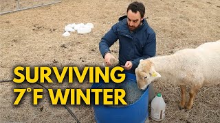 Farm Life in Freezing Temps – Can the Animals Survive?