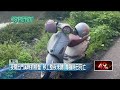 夜間出門溪畔抓螃蟹　彰化越籍移工深夜未歸、尋獲時已死亡