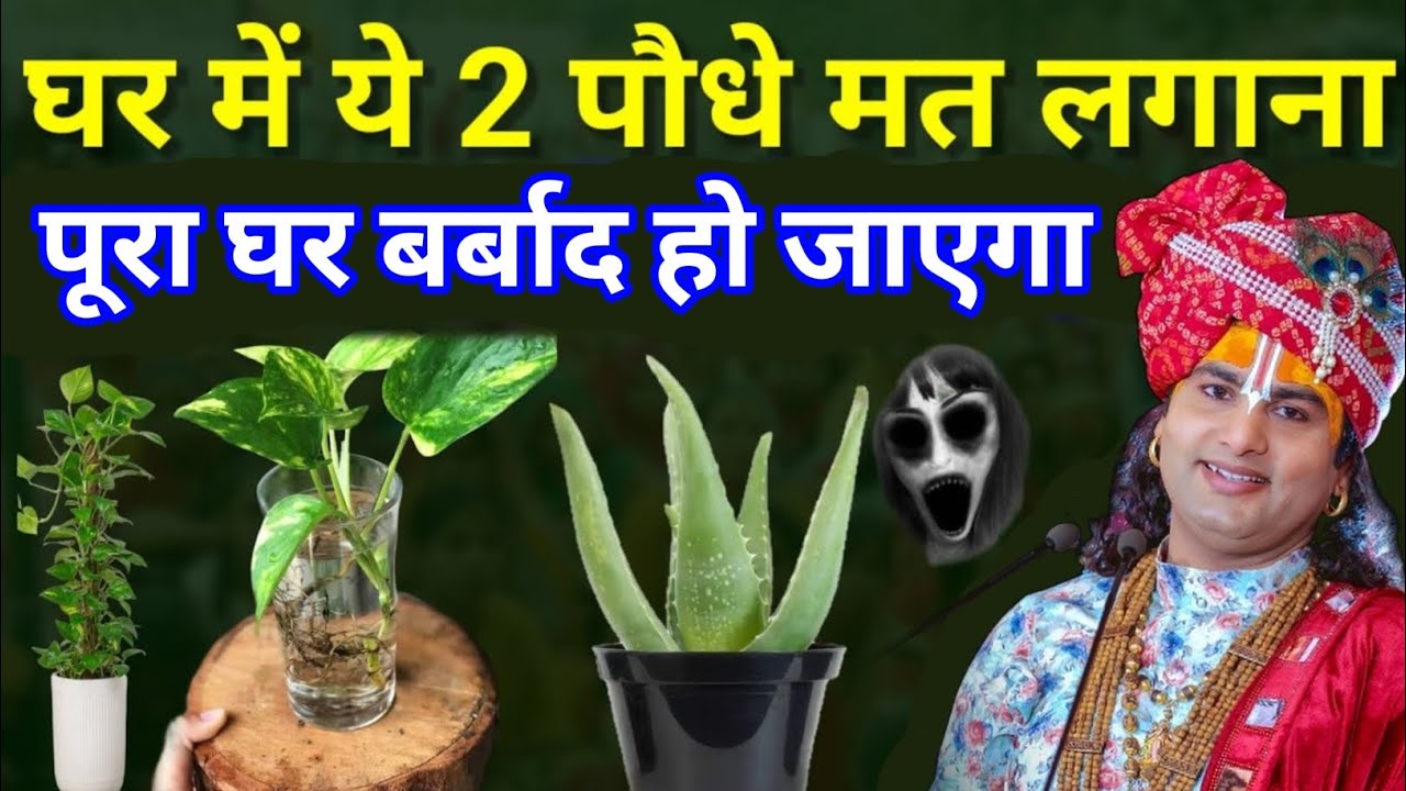 क्या आपके भी घर में ये पौधे लगे है, लगे हो तो तुरंत देख लो ।। Aniruddhacharya Ji