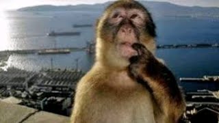 BAB 6 ELEKTRIK DAN KEMAGNETAN part 2