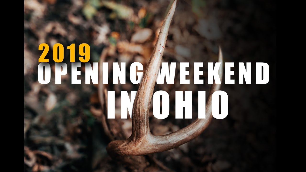 Big Ohio Archery Buck, Opening Weekend 2019 YouTube
