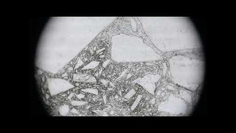 Relief in Optical Mineralogy