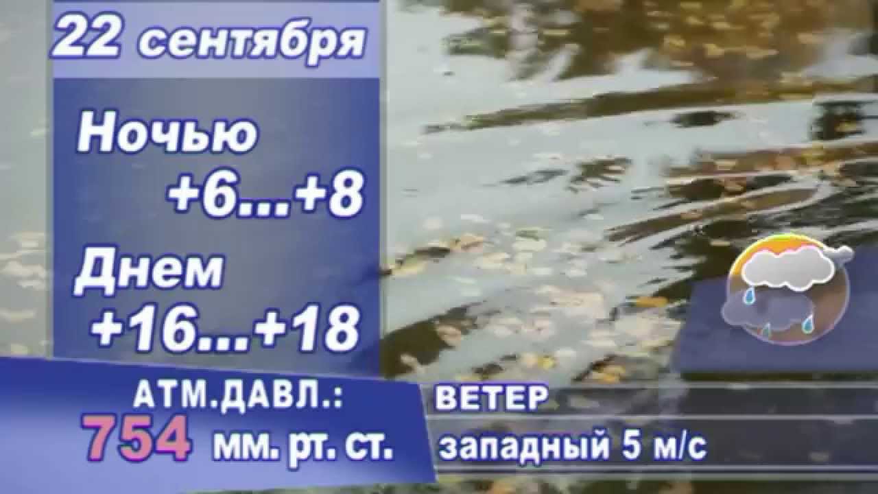 Погода на завтра моторное