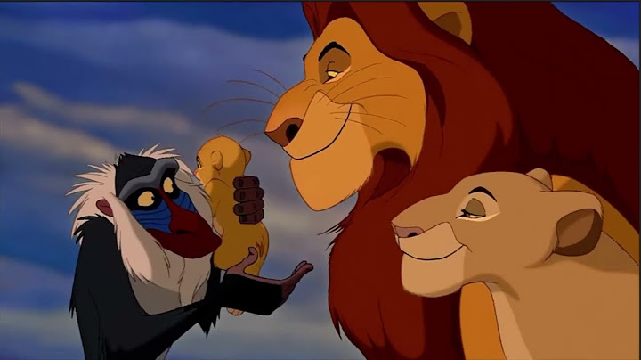 Disney Lion King Gender Reveal