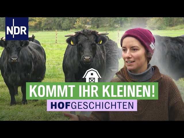 Zeit für Neues: Ziegen und Rinder ziehen um | Hofgeschichten: Leben auf dem Land (258) | NDR