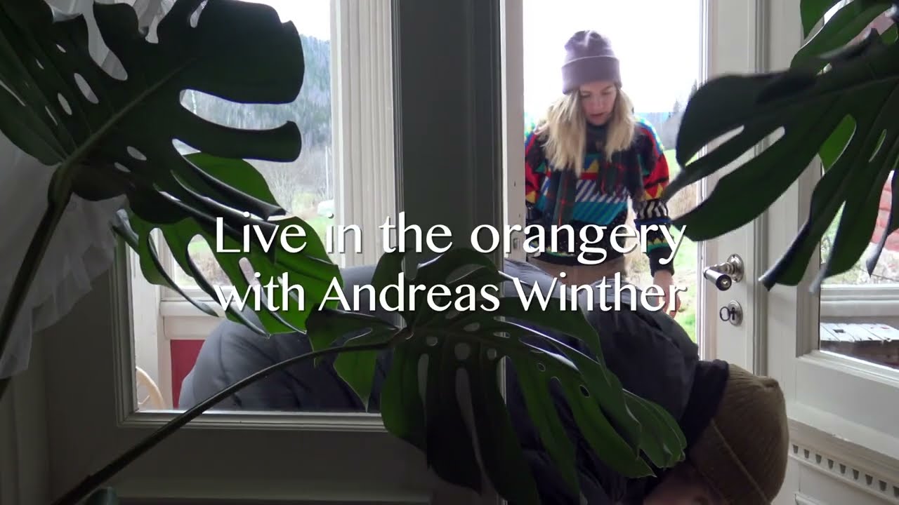 Cold Coffee on the Shelf - LIVE