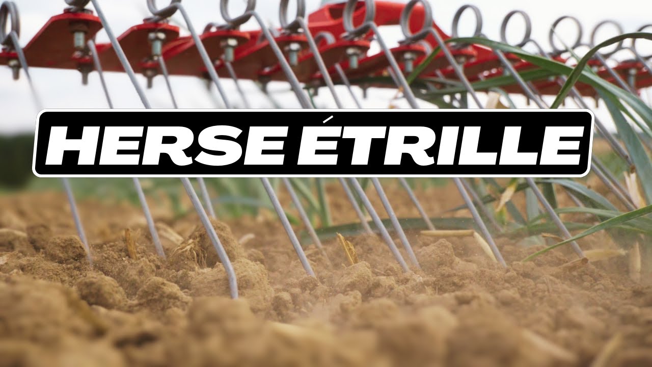 Les outils de désherbage en maraichage bio : Comment utiliser la herse étrille en maraichage Bio ?