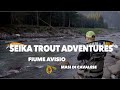 Seika trout adventures  spinning alla marmorata  fiume avisio