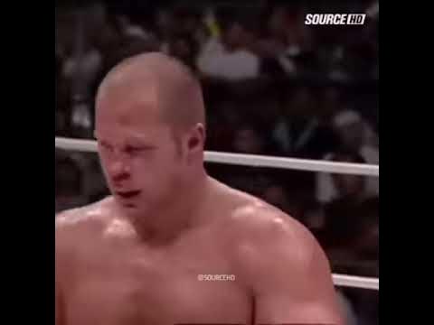 Мирко Крокоп носки