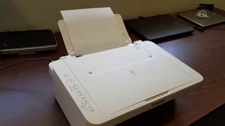 what is the model of a canon pixma mg2522