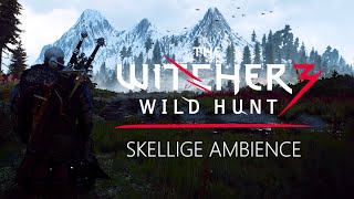 Witcher 3  Skellige   Ambience & Relaxing Music  Meditate like a Witcher