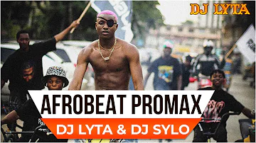 DJ LYTA - AFROBEAT PRO MAX 2023 | RUGER,AYRA STARR,REMA,FIREBOY JOEBOY,OMAH LAY,BURNA BOY,DAVIDO