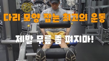 하체운동-레그익스텐션(Leg Extension)의 모든것!