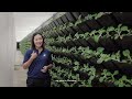 Ntuc learninghub  digital agri tech operations manager programme learning journey