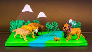Science Project | Forest Model