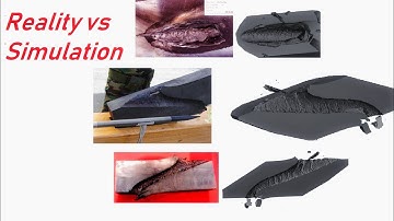 Simulation vs Reality | Penetration Process | Tungsten Alloy rods