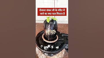 रोजाना शिव जी के मंदिर जाने का क्या फल मिलता है #प्रदीप_जी_मिश्रा #shivmahapuran #mahadev #shorts