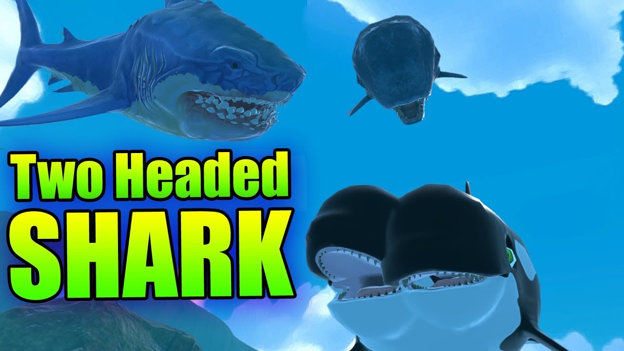 REVENGE of the MEGALODON! - Level 2000+ Megalodon! - Feed and Grow