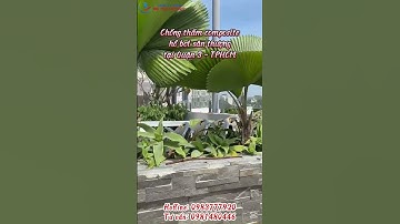 Thi công chống thấm composite hồ bơi sân thượng tại TPHCM | BẢO THỊNH COMPOSITE  #composite