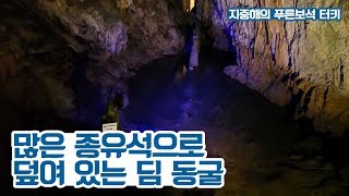 다양하고 많은 종유석으로 덮여 있는 딤 동굴 [지중해의 푸른보석, 터키] 8회