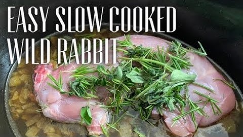 SLOW COOKED WILD RABBIT - How To Cook Wild Rabbit Meat