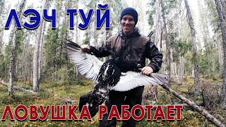 видео: Охота в тайге. ЧАСТЬ 4. Проверка ловушек. картинка: Охота в тайге. ЧАСТЬ 4. Проверка ловушек.