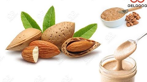 Automatic Groundnut Paste Making Machine|Peanut Butter Production line