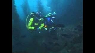PADI Multilevel Diver