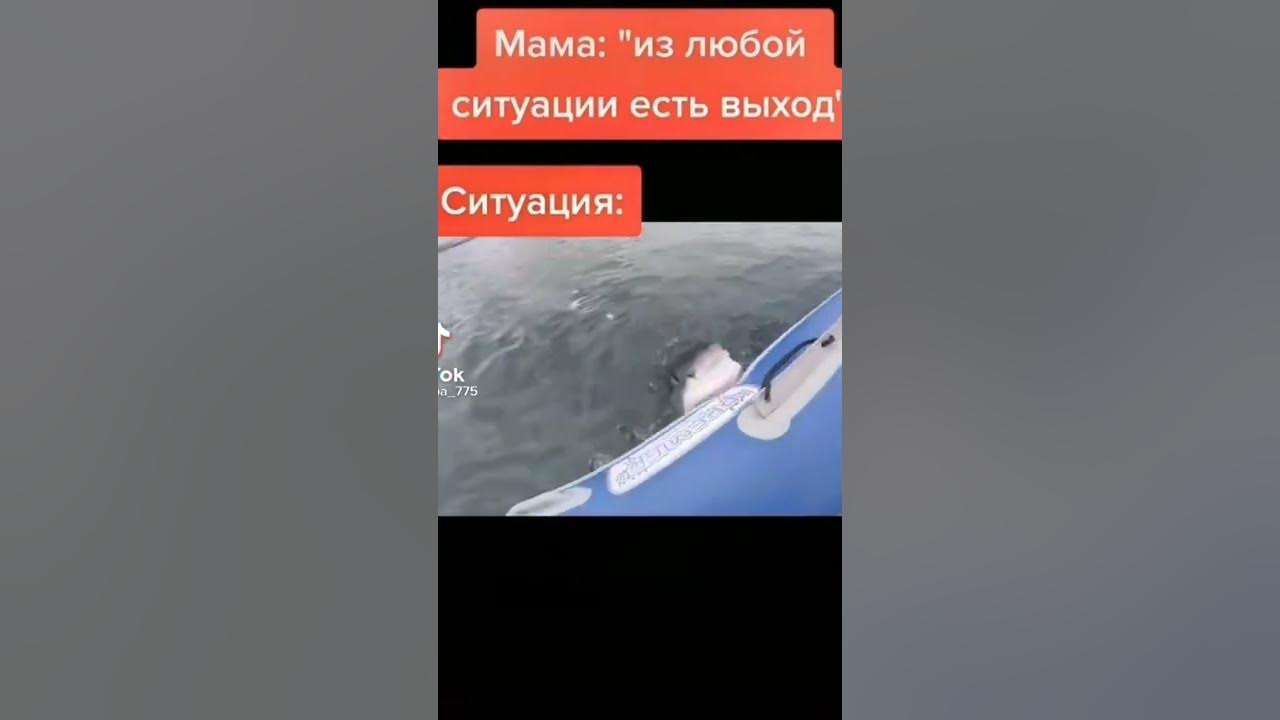 САНЕЧКА СНИМАЕШЬ МЕМ - YouTube