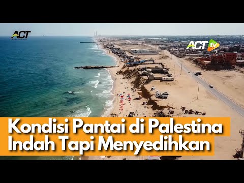 Video: Buka Surat Kepada Sahabat Saya Di Palestina (yang Tidak Akan Pernah Saya Temui) - Matador Network