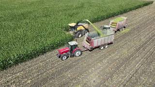 Harvesting and packing corn silage at the University of Illinois Beef Unit