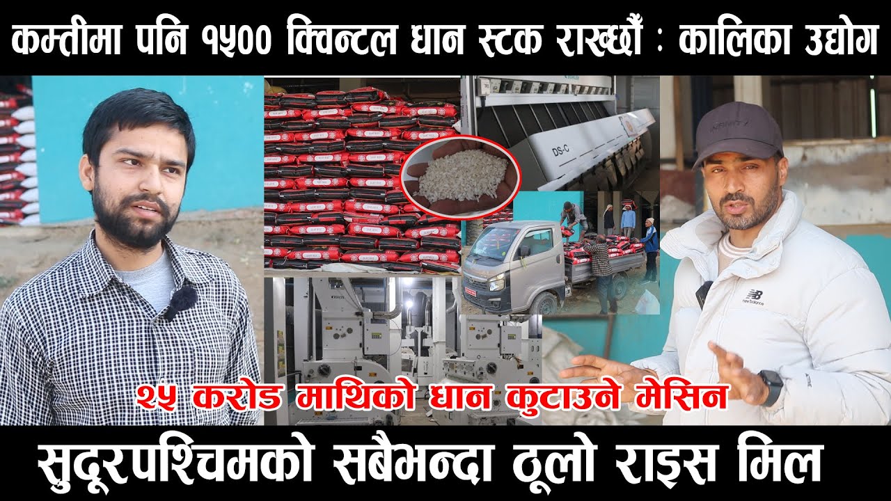 कम्तीमा पनि १५०० क्विन्टल धान स्टक राख्छौँ : कालिका उद्योग, सुदूरपश्चिमको सबैभन्दा ठूलो राइस मिल