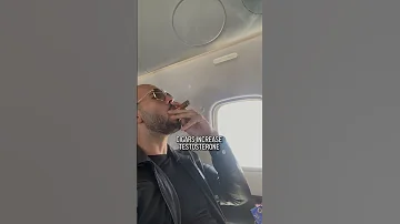 Tate S Cigar Addiction Explained 