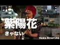 紫陽花 - きゃない