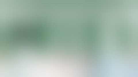 Prof Kensaku Mori - AI based endoscopic procedure